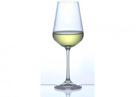 Kieliszki do białego wina 250 ml Sandra Bohemia