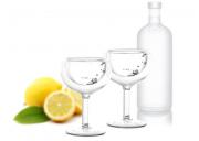 Kieliszki do wódki podwójne ścianki 30 ml AMO Vialli Design