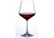 Kieliszki do wina Burgunde 570 ml Sandra Bohemia