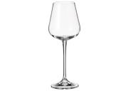 Komplet 6 kieliszków do wina białego 260 ml Amundsen Bohemia