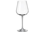 Komplet 6 kieliszków do wina czerwonego 450 Amundsen Bohemia