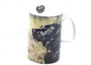Kubek Ashdene Black Labrador
